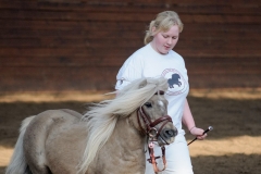 hdv2009_3526