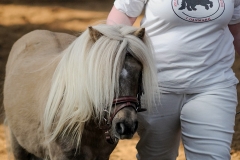 hdv2009_3529