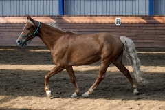 hdv2009_3541