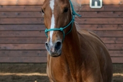 hdv2009_3543