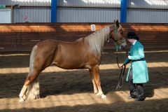 hdv2009_3548