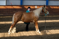 hdv2009_3549