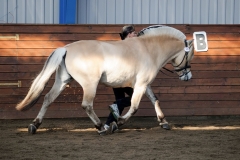 hdv2009_3554