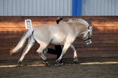 hdv2009_3555