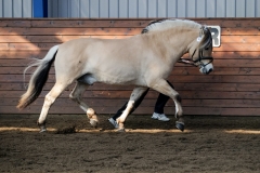 hdv2009_3557