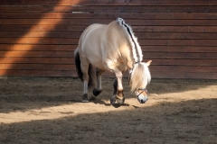 hdv2009_3562