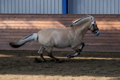 hdv2009_3574