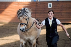 hdv2009_3593