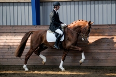 hdv2009_3595