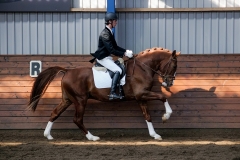 hdv2009_3623