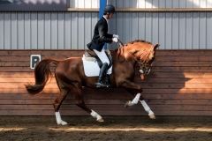 hdv2009_3637