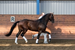 hdv2009_3670