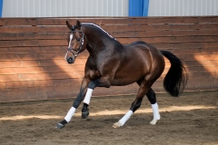 hdv2009_3679