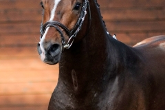 hdv2009_3683