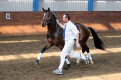 hdv2009_3702