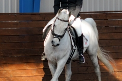 hdv2009_3703