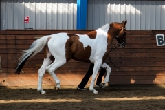 hdv2009_3754