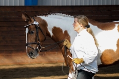 hdv2009_3755