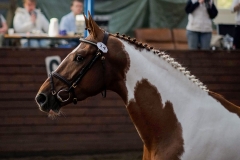 hdv2009_3780