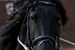 hdv2009_3798