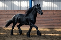 hdv2009_3802