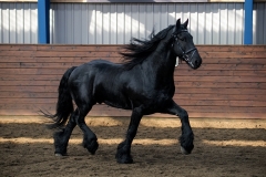 hdv2009_3803