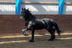 hdv2009_3807