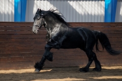 hdv2009_3811