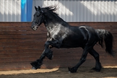 hdv2009_3812