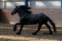 hdv2009_3816