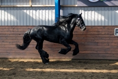 hdv2009_3821