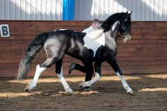 hdv2009_3827