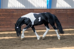 hdv2009_3844