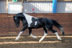 hdv2009_3847