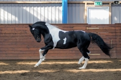 hdv2009_3848