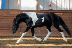 hdv2009_3864
