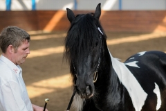 hdv2009_3868