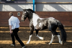 hdv2009_3870