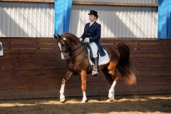hdv2009_3874