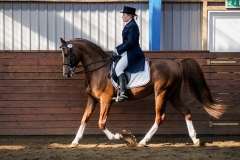 hdv2009_3875