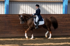 hdv2009_3905
