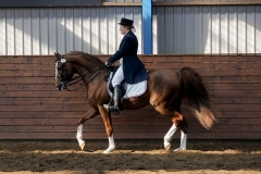 hdv2009_3906