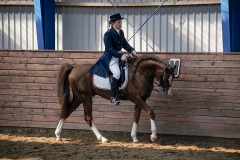 hdv2009_3912