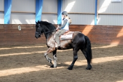 hdv2009_3970