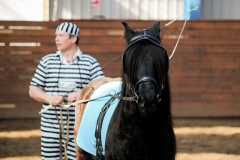 hdv2009_3971