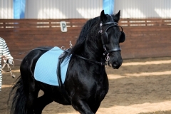 hdv2009_3974
