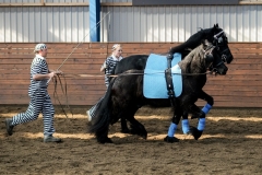 hdv2009_3975