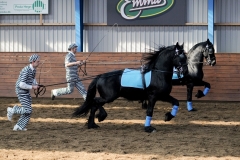 hdv2009_3979
