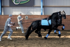 hdv2009_3980