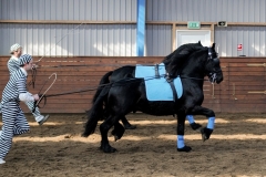 hdv2009_3982